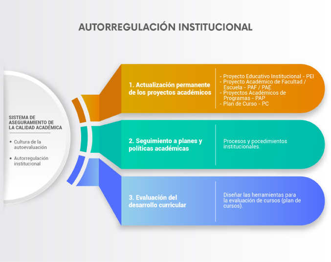 autorregulación institucional