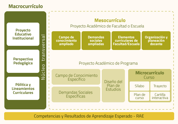 Estructura Curricular U. Central