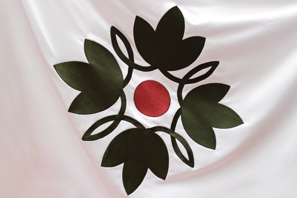 Bandera de la universidadad central. Esta compuesta por cuatro hojas de curubo y un circulo central color vinotinto